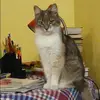 Отзыв от Нина Исаева